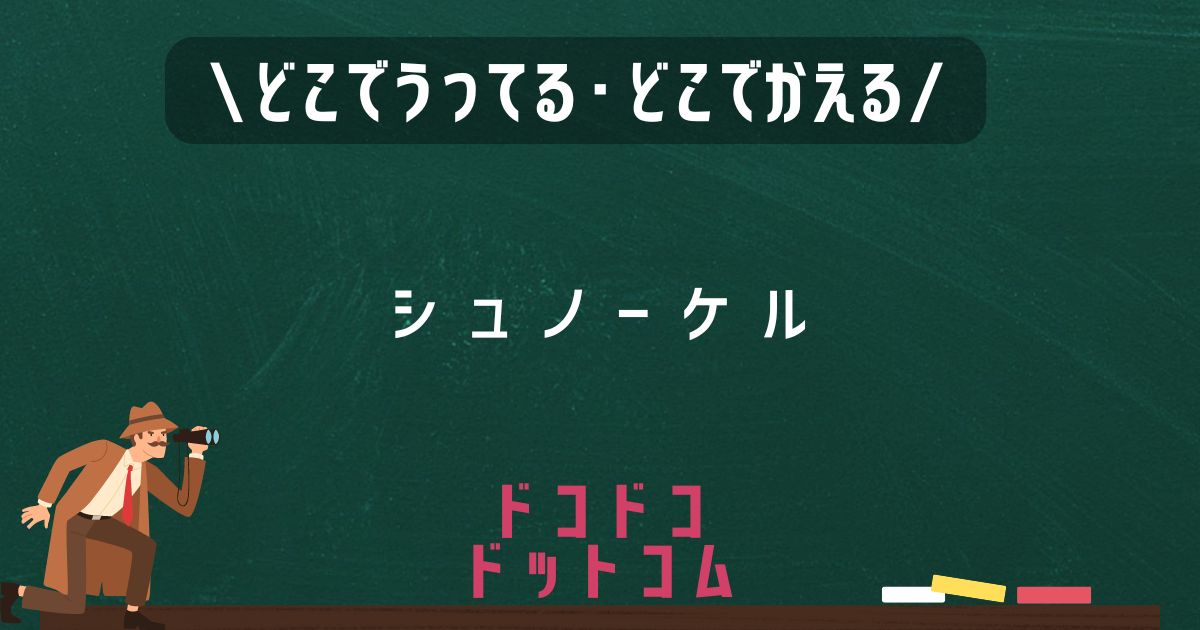 シュノーケル,どこで売ってる,販売店舗,取扱店舗